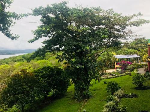 Lake Arenal Hotel And Microbrewery