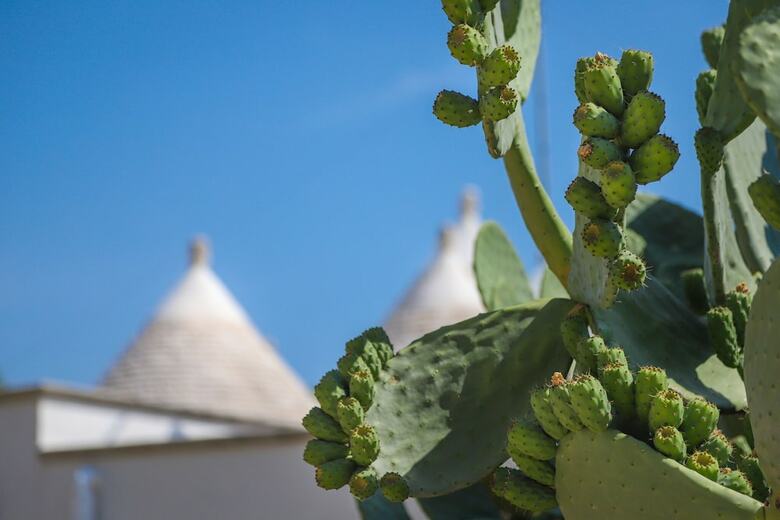 Villa Trulli Della Gravina