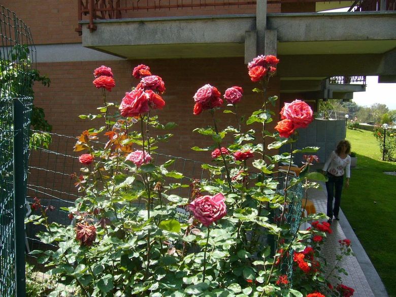 Bed And Breakfast Le Gardenie - Da Fil