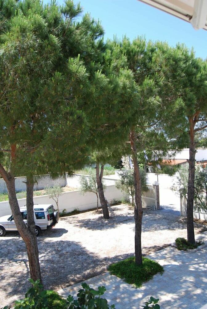 Bed & Breakfast La Palude Del Conte