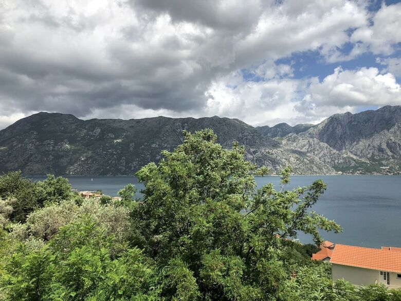 Sarenagomila