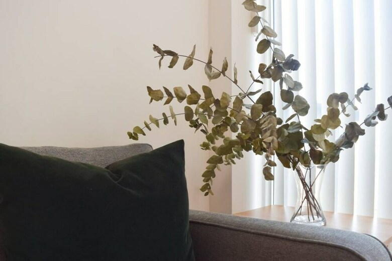 Modern 1 Bedroom Apartment In Greenwich