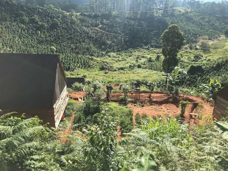 Hotel Chappi Mountains Resort
