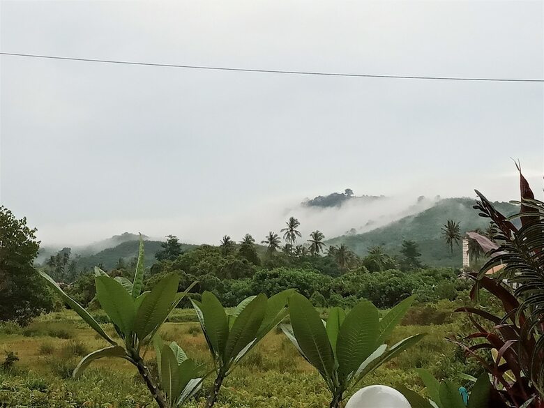 Hotel Cenang Mimpi Resort