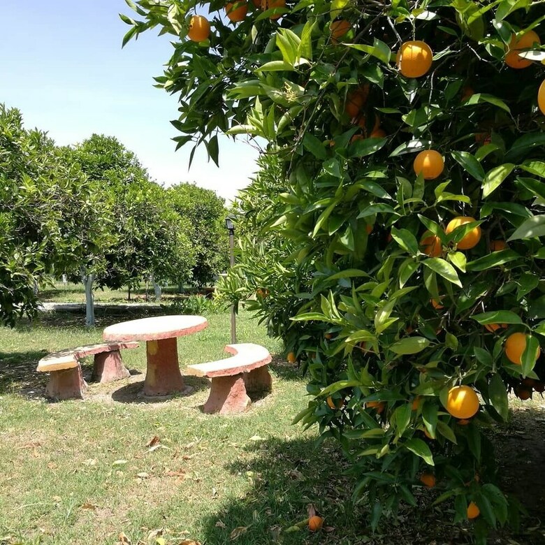 Hotel Portakalya Motel & Pansiyon