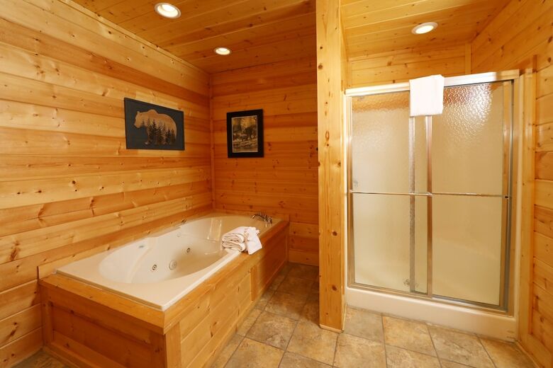 Ridgetop Theatre Lodge - Six Bedroom Cabin