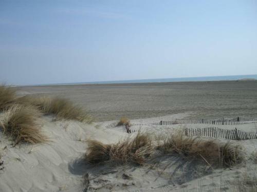 Hotel H�tel Le Neptune En Camargue