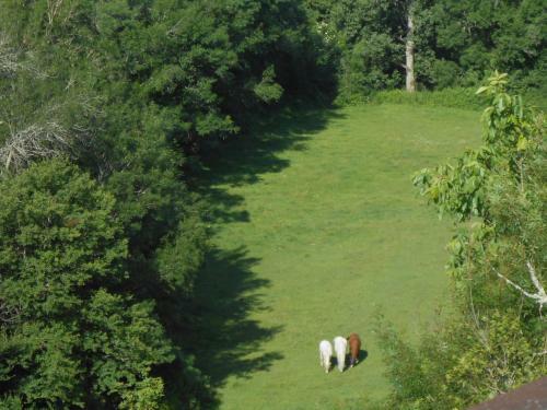 Agroturismo Chambre D'hotes Cugnac
