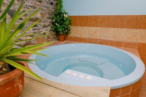 Hotel Logis Hostellerie Des Lauriers