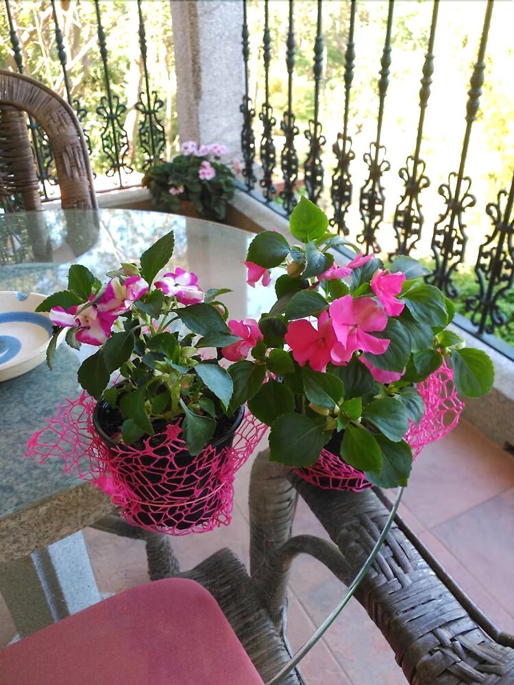 Agroturismo Casa Rural Taper�a O Monte