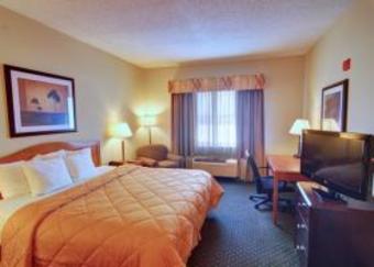 Hotel Comfort Inn Dfw North