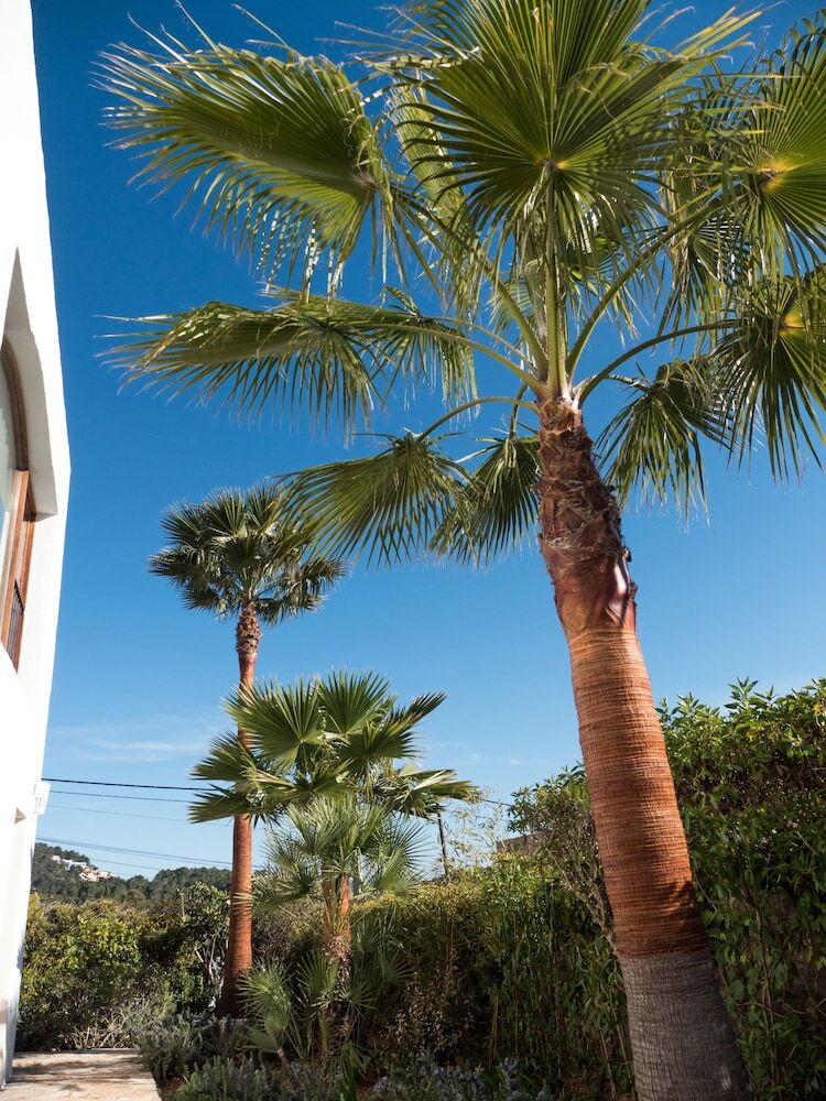 Villa Ses Vistes