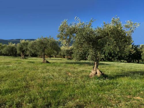 Apartamento Al Corso Umberto I