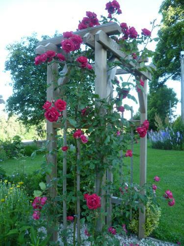 Bed & Breakfast La Crois�e Des Fleurs
