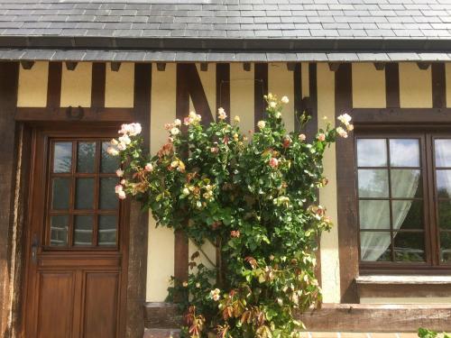 Bed & Breakfast Chambre D'h�te La Roseraie