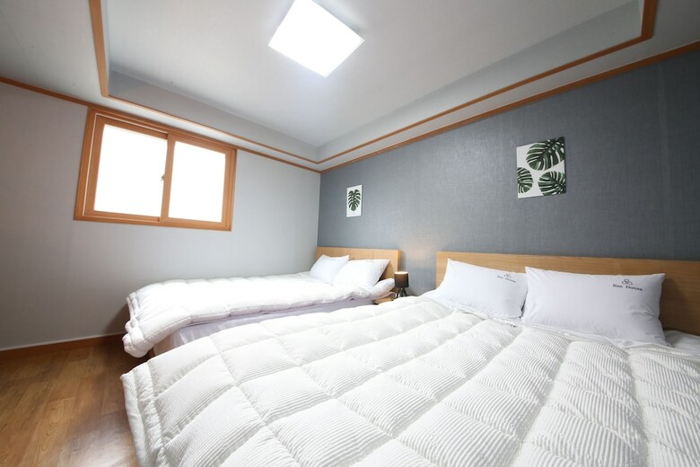 Hotel Bee House Hostel