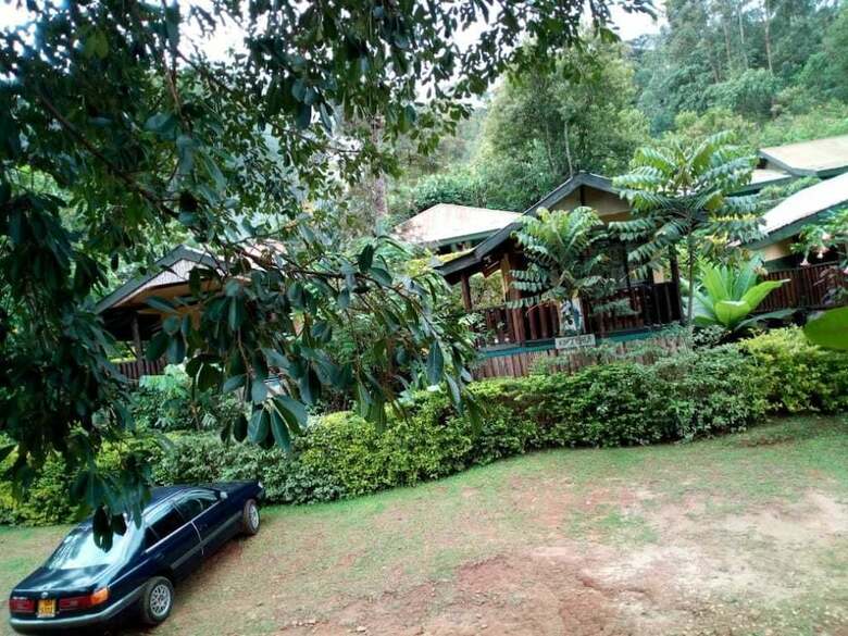 Posada Bwindi View Lodge & Camp Site