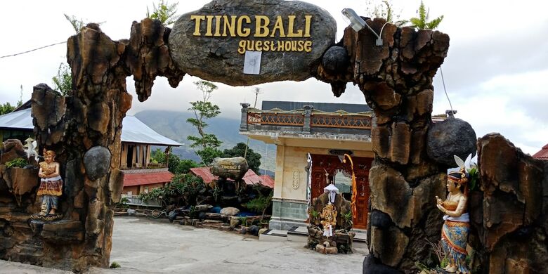 Hotel Tiing Bali Guest House