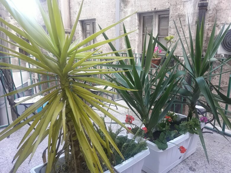 Hotel Affittacamere Al Molo Sant'eligio