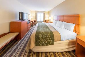 Hotel Comfort Inn Metro Airport