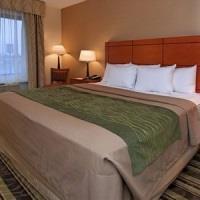 Hotel Comfort Inn Metro Airport