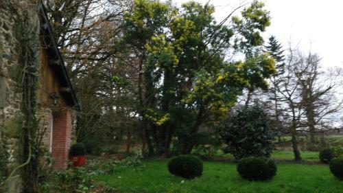 Bed & Breakfast Chambre D'h�tes De Pirieuc