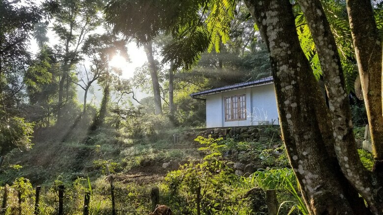 Hotel Jungle Tide Bungalow