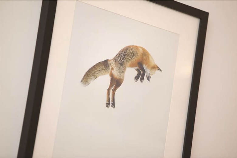 Apartamentos Fox Den