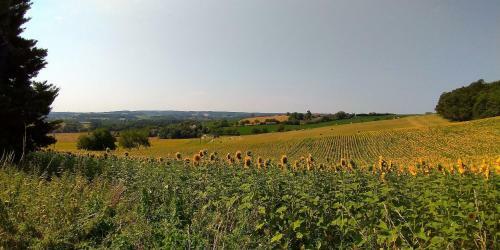 Les G�tes De La Treille