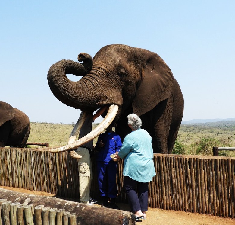 Posada African Spirit Game Lodge