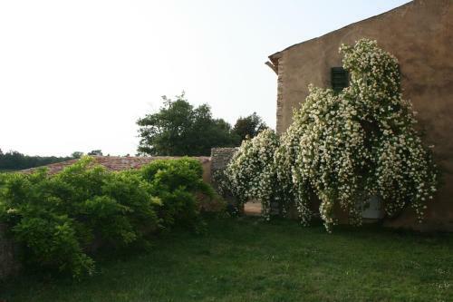 Hostal Domaine De La Blaque - B&B