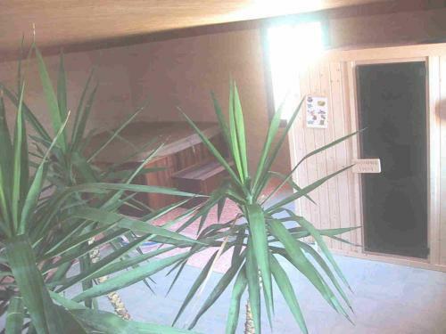 Bed & Breakfast Chambres D'h�tes Le Clos Bois�