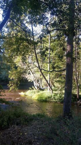 Bed & Breakfast Moulin Des Valignards