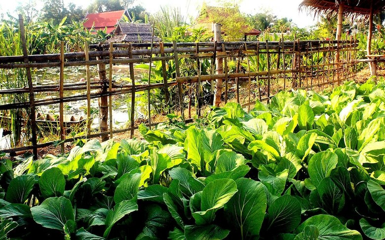 Hotel Ayutthaya Garden River Home