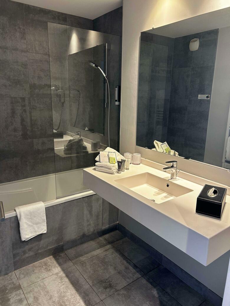 Hotel Best Western Plus H�tel De Chassieu Eurexpo