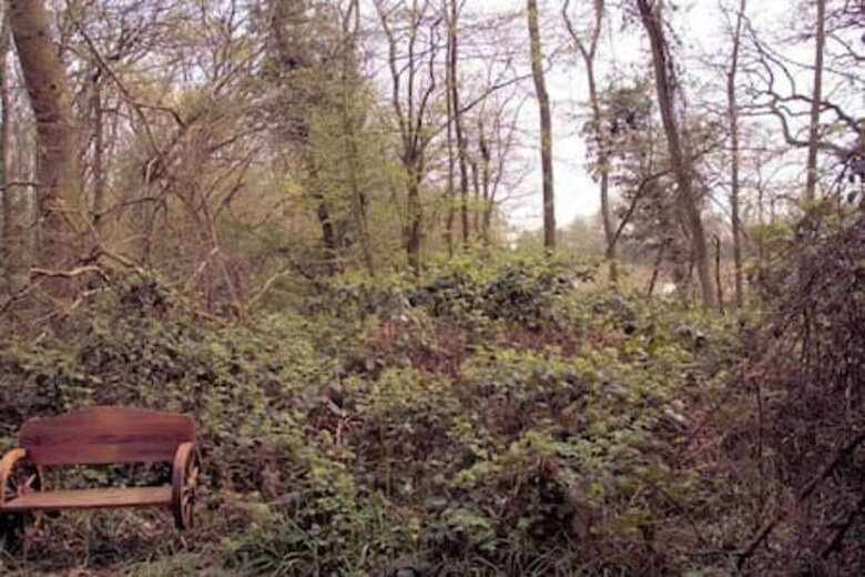 Cabana Ancient Woodland Retreat