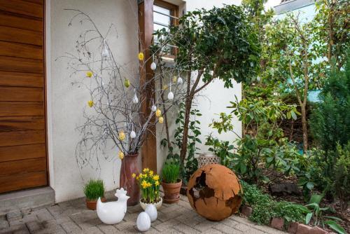 Bed & Breakfast Chambres D'h�tes Rachelle Schneider