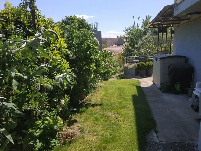 Gite Et Studio Proche Strasbourg