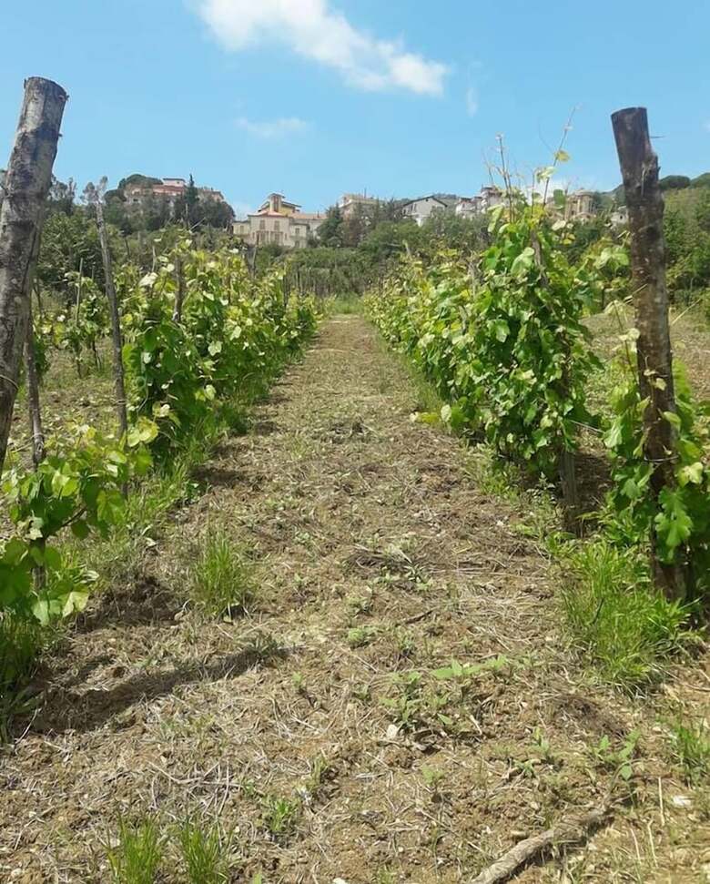Agroturismo La Magione Del Capitano
