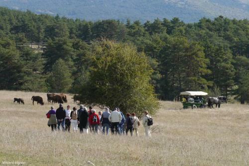 Lodge R�serve Des Monts D'azur