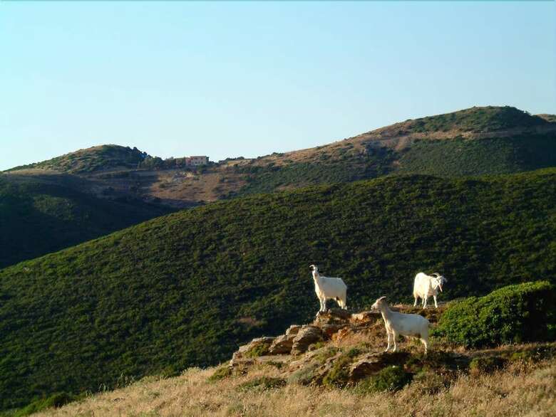 Agroturismo L'oasi Del Cervo