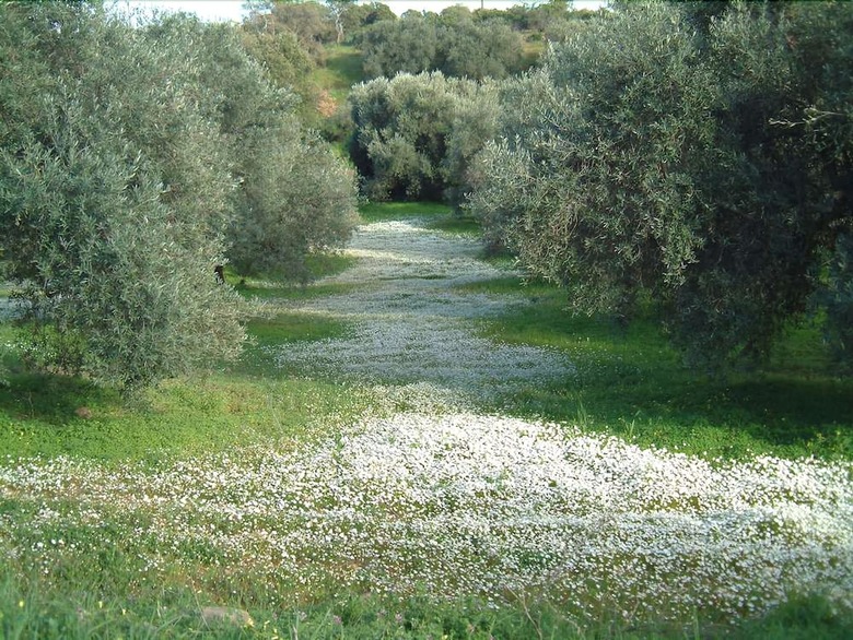 Agroturismo L'oasi Del Cervo