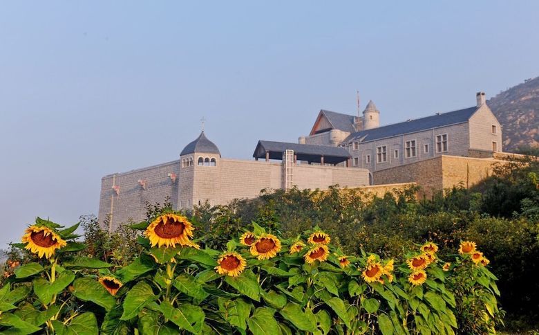 Posada Penglai Treatyport Vineyards