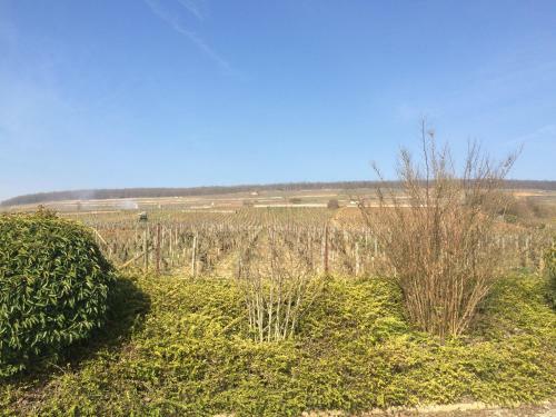 Hotel Logis Les Terrasses De Corton