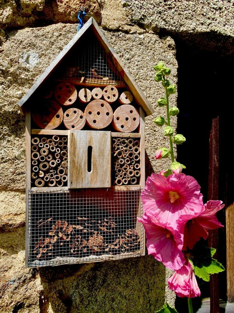 Hostal Jasserie Les Airelles
