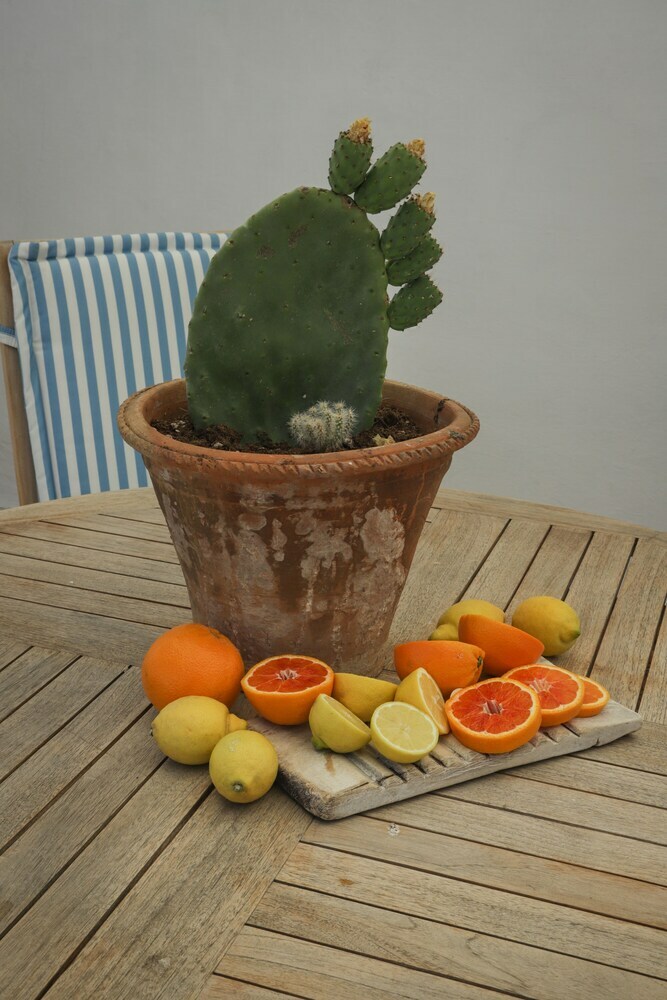 Apartamento Chez Anna