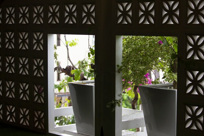 Hotel Forget Me Not Homestay