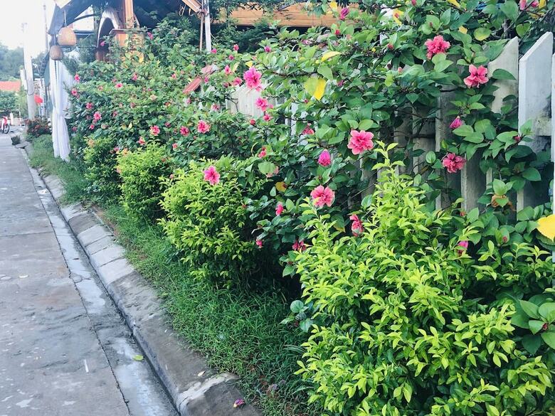 Hotel Co To Center Homestay