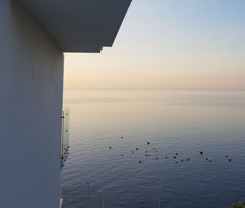 Apartamentos Torre Aguamarina Departamentos