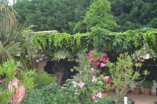 Bed & Breakfast Chambres D'h�tes La Forterie